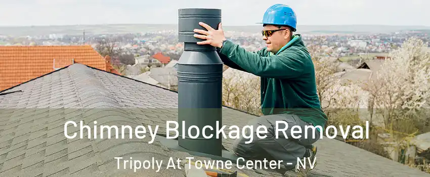 Chimney Blockage Removal Tripoly At Towne Center - NV