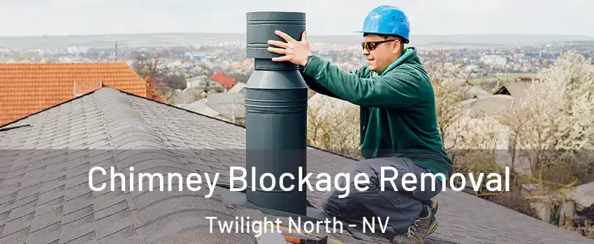 Chimney Blockage Removal Twilight North - NV