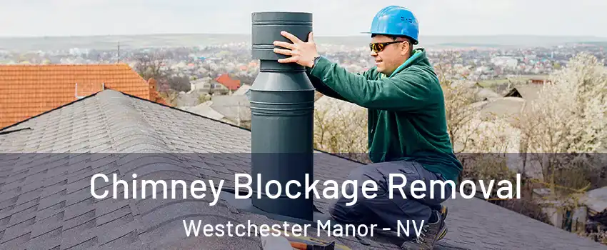 Chimney Blockage Removal Westchester Manor - NV