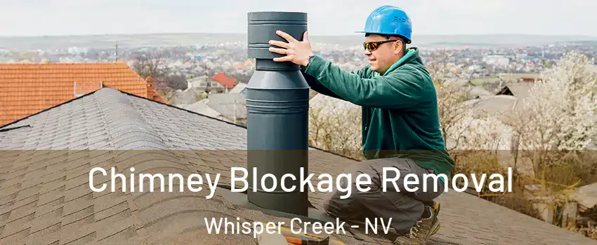 Chimney Blockage Removal Whisper Creek - NV