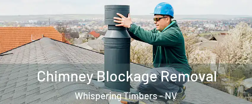 Chimney Blockage Removal Whispering Timbers - NV