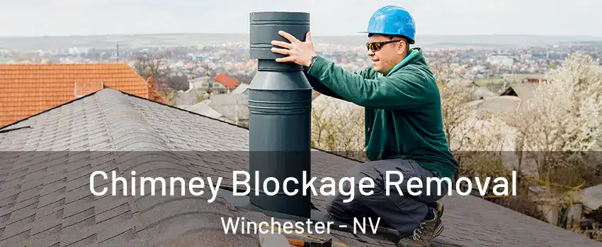 Chimney Blockage Removal Winchester - NV