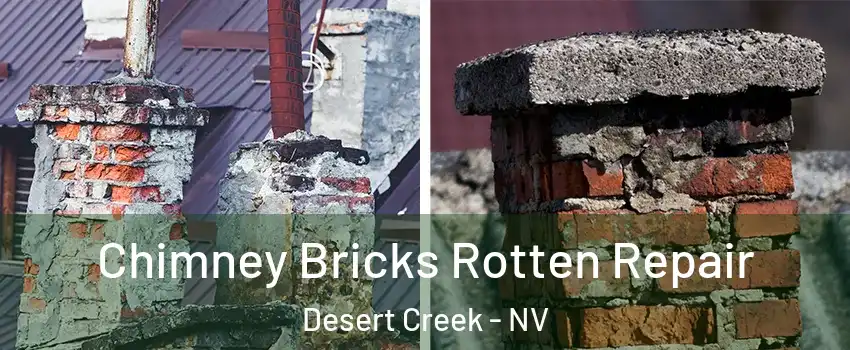 Chimney Bricks Rotten Repair Desert Creek - NV