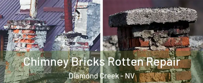 Chimney Bricks Rotten Repair Diamond Creek - NV