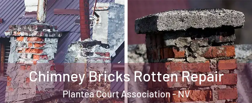 Chimney Bricks Rotten Repair Plantea Court Association - NV