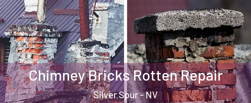 Chimney Bricks Rotten Repair Silver Spur - NV