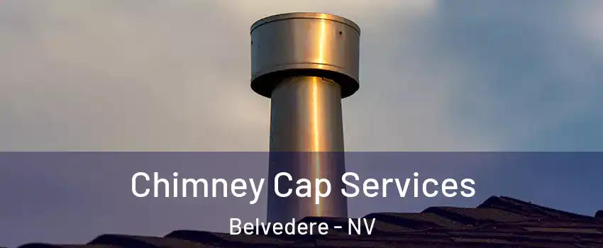 Chimney Cap Services Belvedere - NV