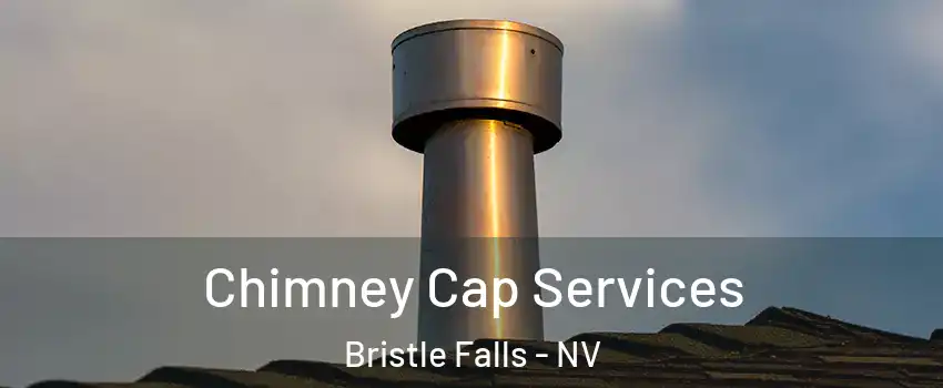 Chimney Cap Services Bristle Falls - NV