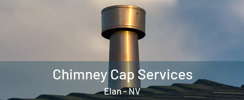 Chimney Cap Services Elan - NV