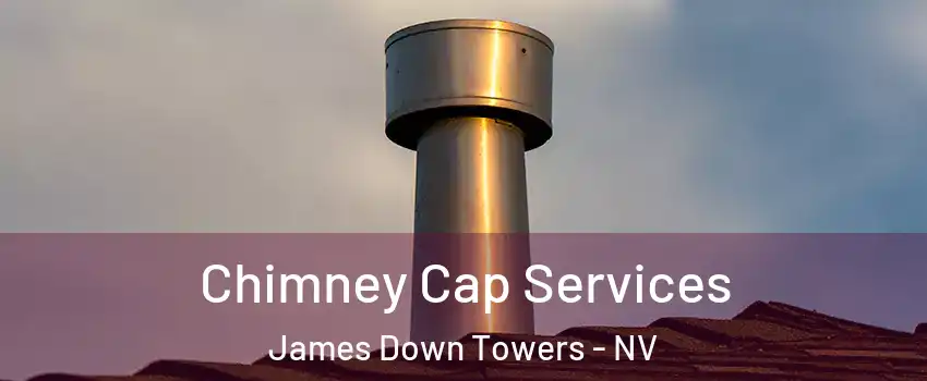 Chimney Cap Services James Down Towers - NV