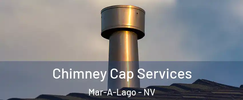 Chimney Cap Services Mar-A-Lago - NV
