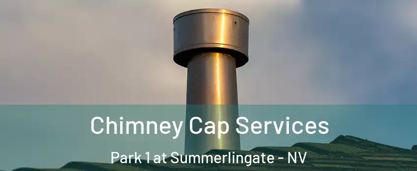 Chimney Cap Services Park 1 at Summerlingate - NV