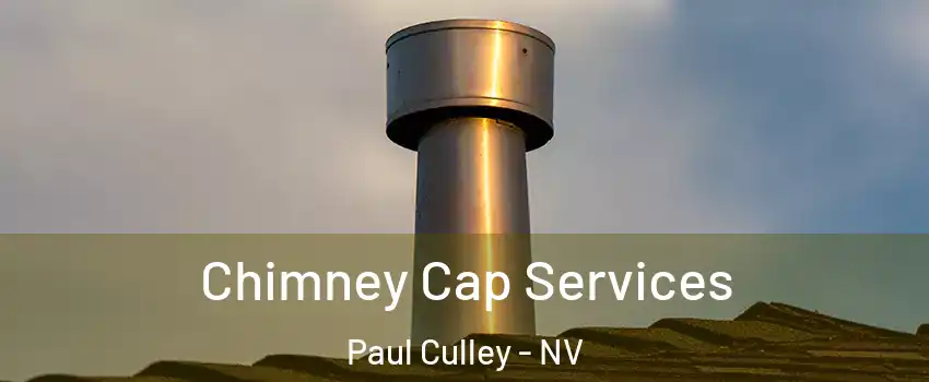 Chimney Cap Services Paul Culley - NV