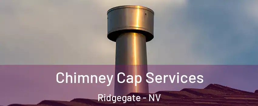 Chimney Cap Services Ridgegate - NV