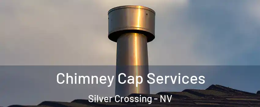 Chimney Cap Services Silver Crossing - NV