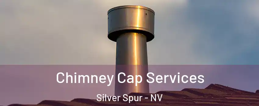 Chimney Cap Services Silver Spur - NV