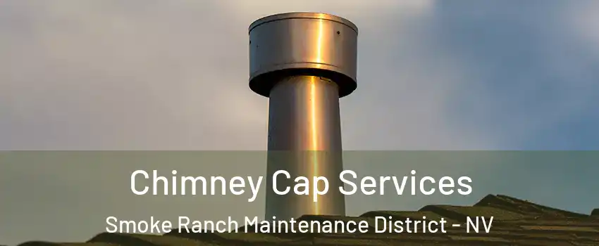 Chimney Cap Services Smoke Ranch Maintenance District - NV