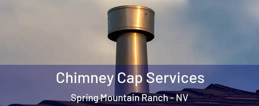 Chimney Cap Services Spring Mountain Ranch - NV