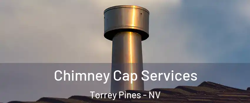 Chimney Cap Services Torrey Pines - NV