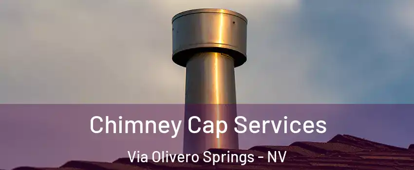 Chimney Cap Services Via Olivero Springs - NV