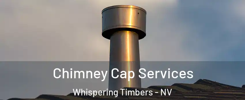 Chimney Cap Services Whispering Timbers - NV