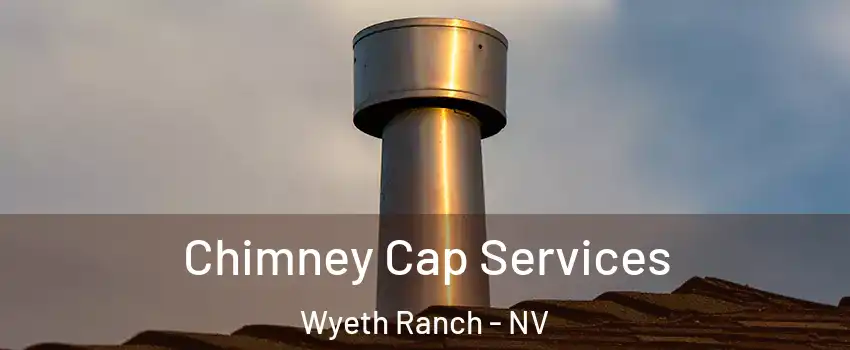 Chimney Cap Services Wyeth Ranch - NV
