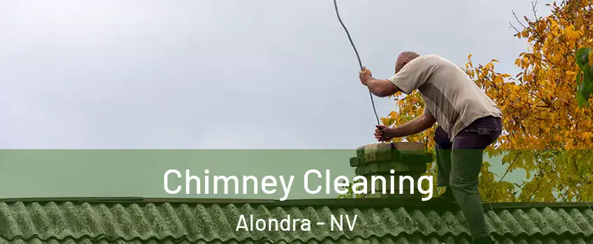 Chimney Cleaning Alondra - NV