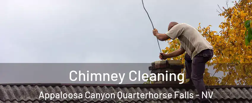 Chimney Cleaning Appaloosa Canyon Quarterhorse Falls - NV