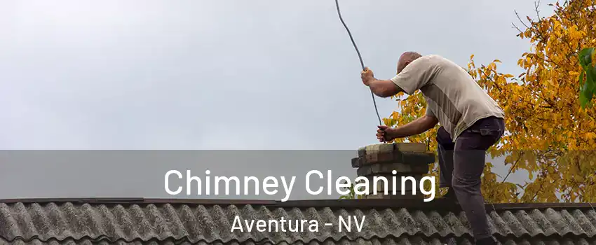Chimney Cleaning Aventura - NV