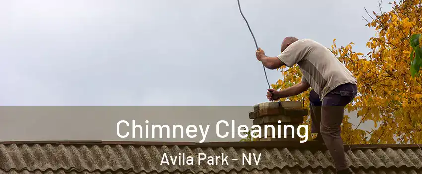 Chimney Cleaning Avila Park - NV