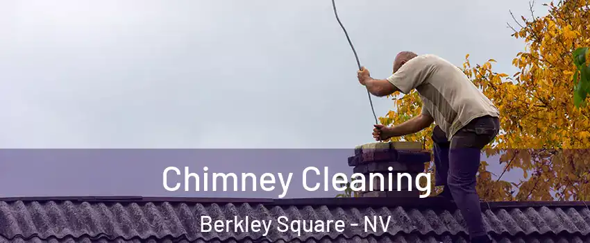 Chimney Cleaning Berkley Square - NV