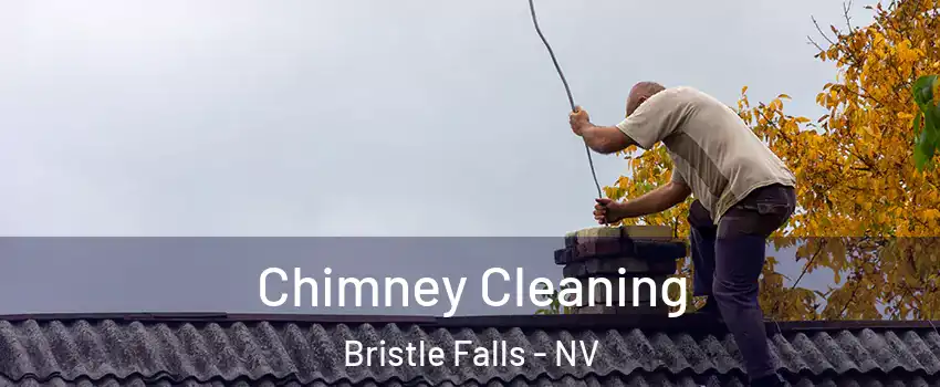 Chimney Cleaning Bristle Falls - NV