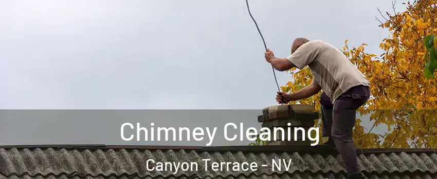 Chimney Cleaning Canyon Terrace - NV