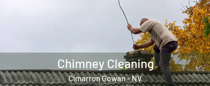 Chimney Cleaning Cimarron Gowan - NV