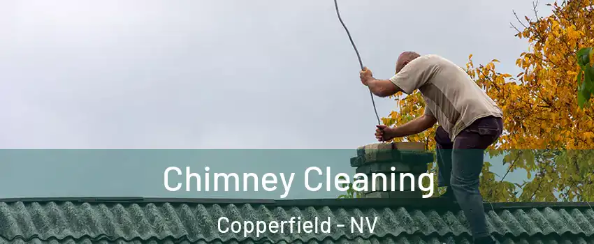 Chimney Cleaning Copperfield - NV