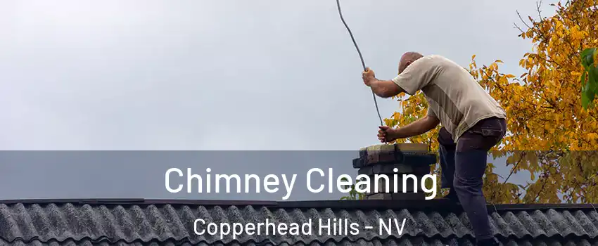 Chimney Cleaning Copperhead Hills - NV