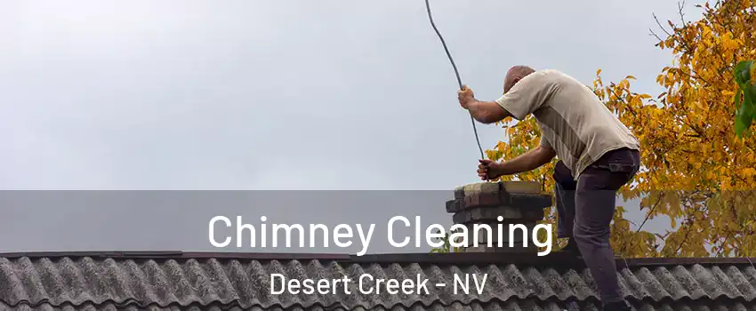 Chimney Cleaning Desert Creek - NV