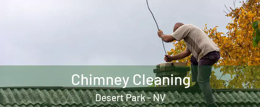 Chimney Cleaning Desert Park - NV