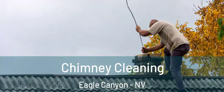 Chimney Cleaning Eagle Canyon - NV