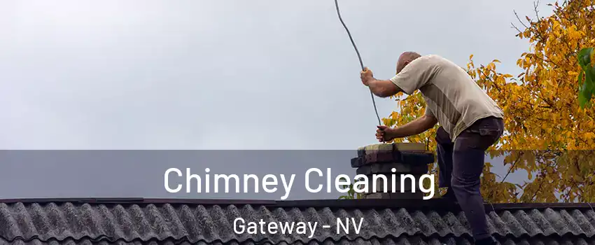 Chimney Cleaning Gateway - NV