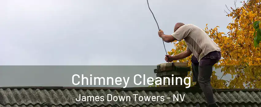 Chimney Cleaning James Down Towers - NV