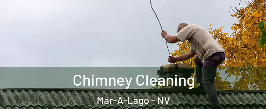 Chimney Cleaning Mar-A-Lago - NV