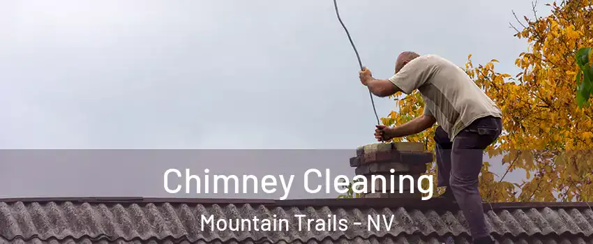Chimney Cleaning Mountain Trails - NV