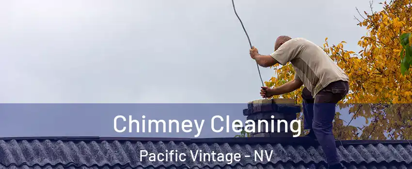 Chimney Cleaning Pacific Vintage - NV