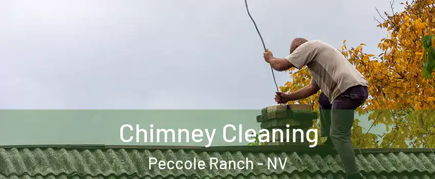 Chimney Cleaning Peccole Ranch - NV