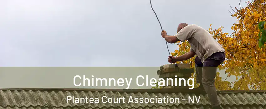 Chimney Cleaning Plantea Court Association - NV