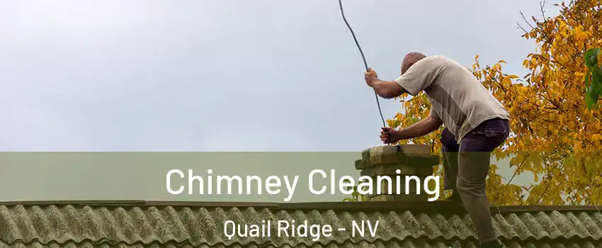 Chimney Cleaning Quail Ridge - NV