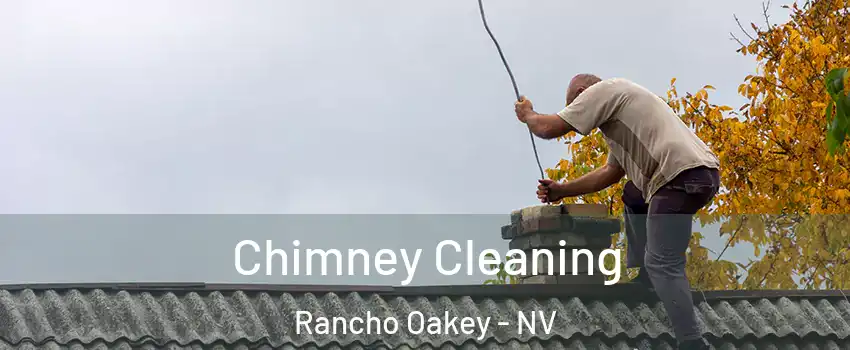 Chimney Cleaning Rancho Oakey - NV