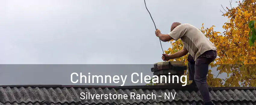 Chimney Cleaning Silverstone Ranch - NV
