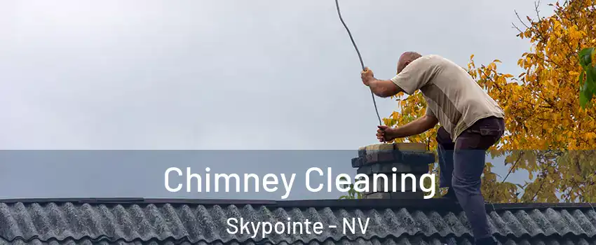 Chimney Cleaning Skypointe - NV